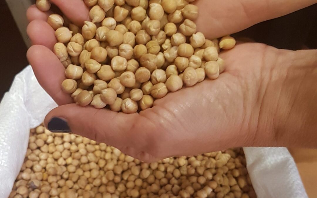 Garbanzos