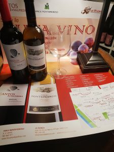 Ruta del Vino